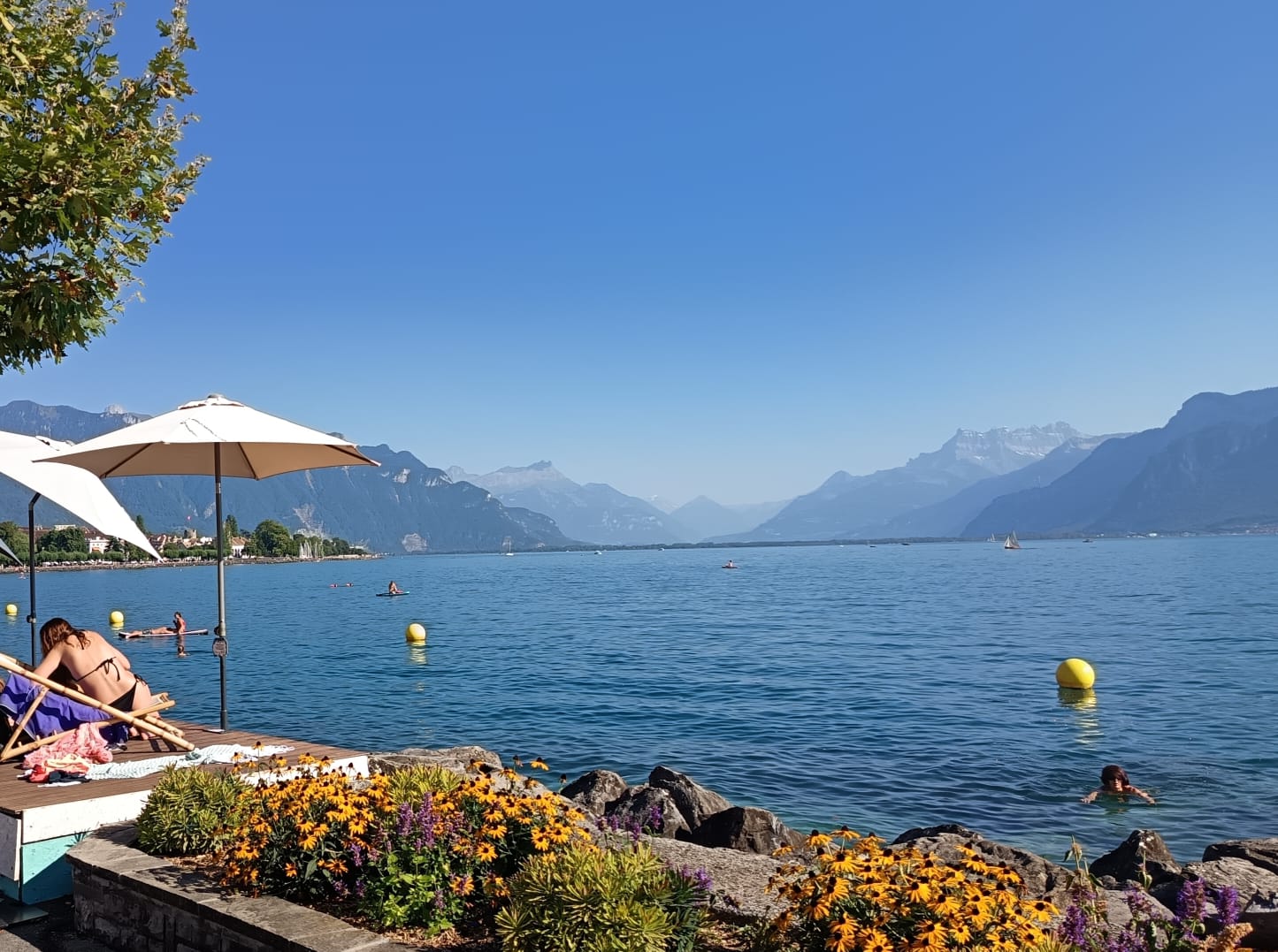 La suisse Vevey 2025